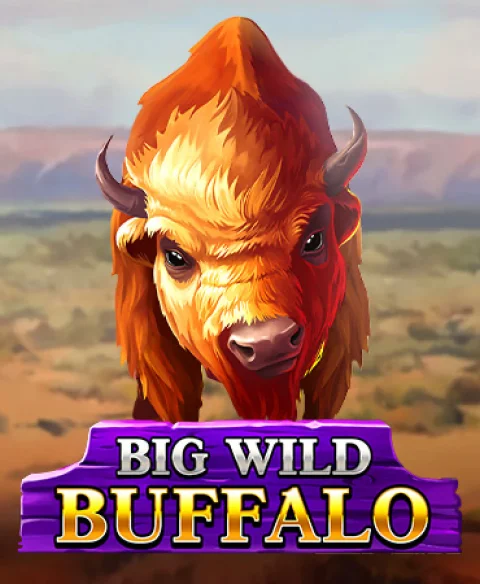 Play Big Wild Buffalo at Sloto Top Casino